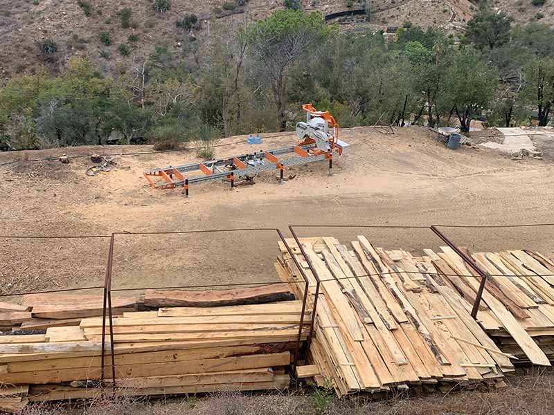 milling the fire damaged trees