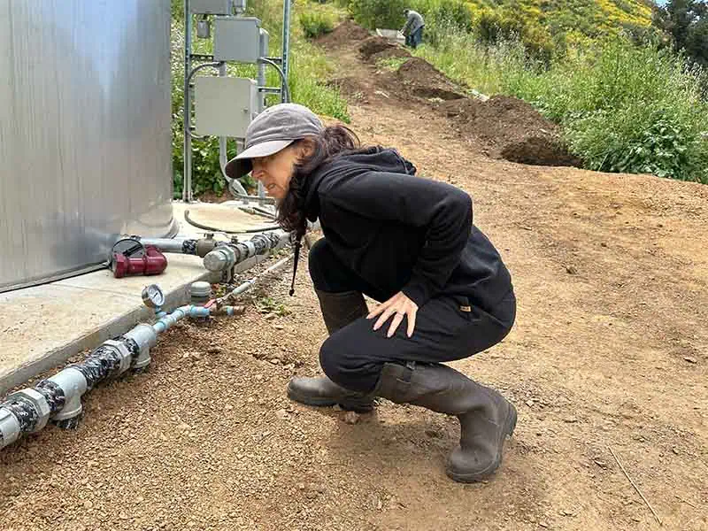 Diane watches the meter