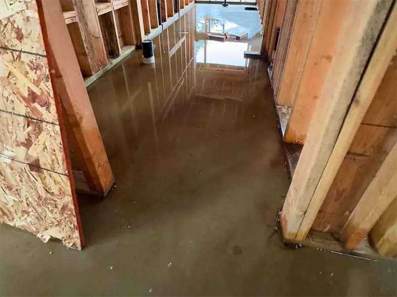 Dealing with Water in the House