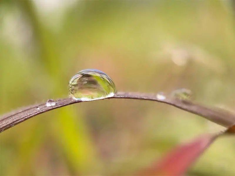 Raindrop