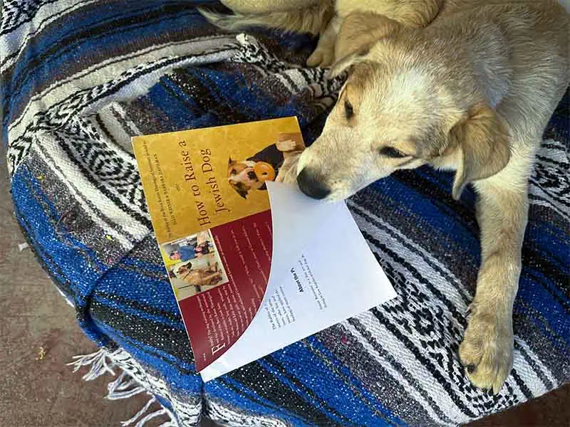 Ona loves reading