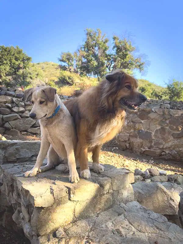 Lucca and Ona