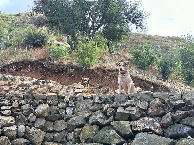 Lucca and Ona on the building side