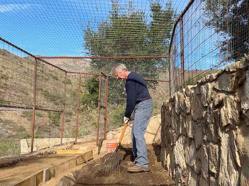 Preparing the veggie garden for planting cover crops