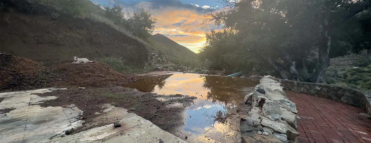 Rainwater pooling in the canyon road at sunset