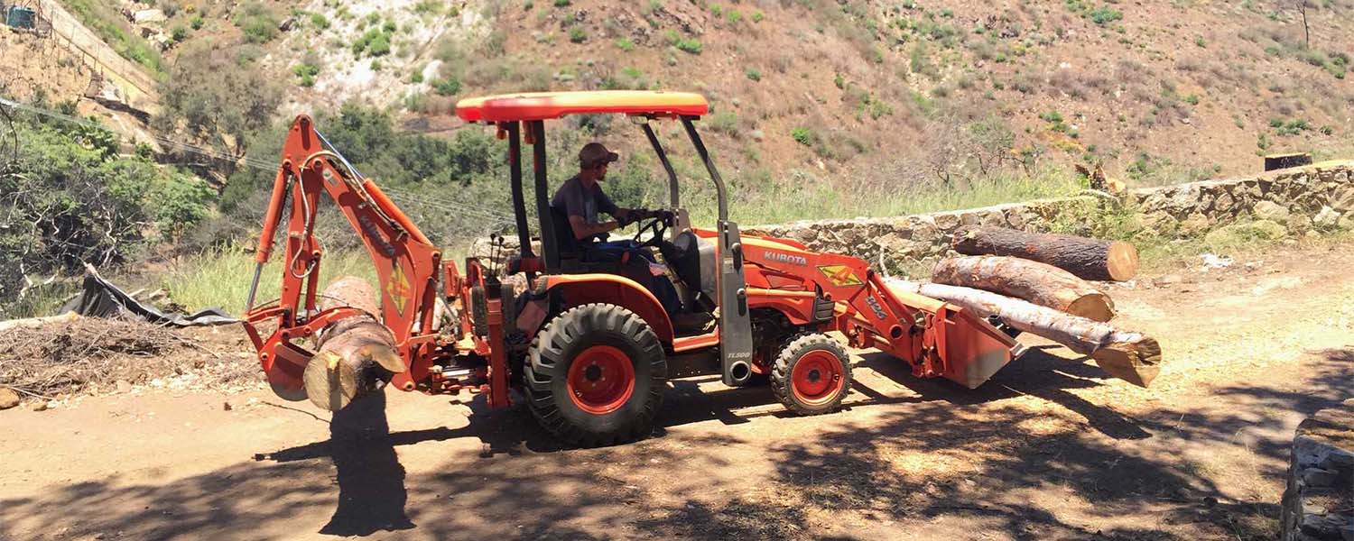 Backhoe loading cut logs on the property