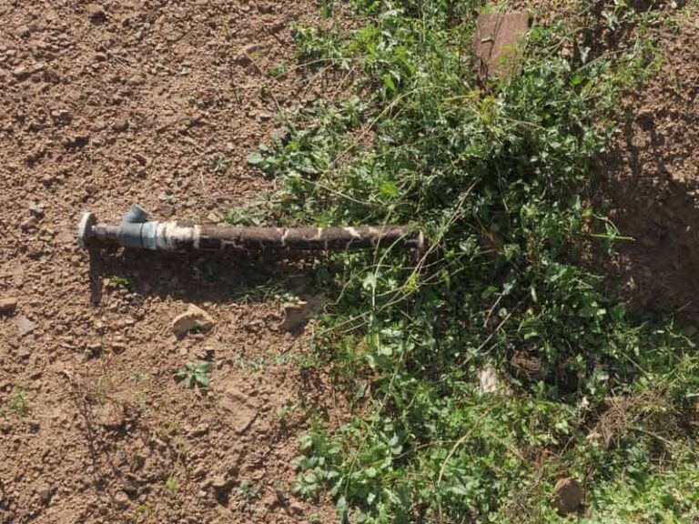 Exposed pipe on bare soil beside green leaves