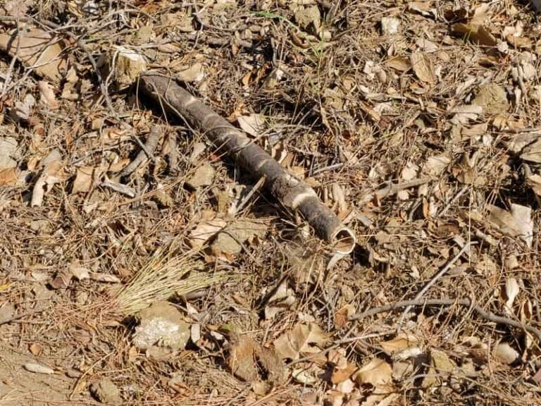 Rusted pipe lying in leaves on dry ground